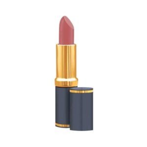 MEDORA CHIFFON BLUSH 534 MATTE LIPSTICK 12PCS BOX