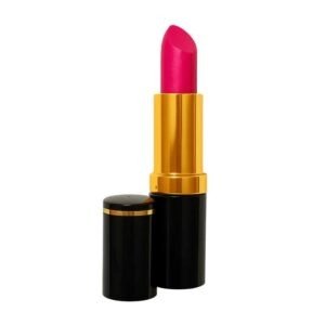 MEDORA TEMPTAYION 551 MATTE LIPSTICK 12PCS BOX