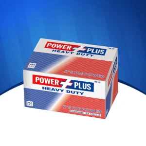 Heavy Duty AAA Battery Cell