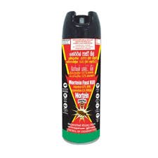 Mortein Crawling Insect Killer Aerosol - Fast Kill 250ml