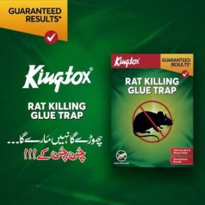Kingtox Rat Killing Glue Trap