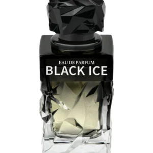 black ice pour homme 100ml
